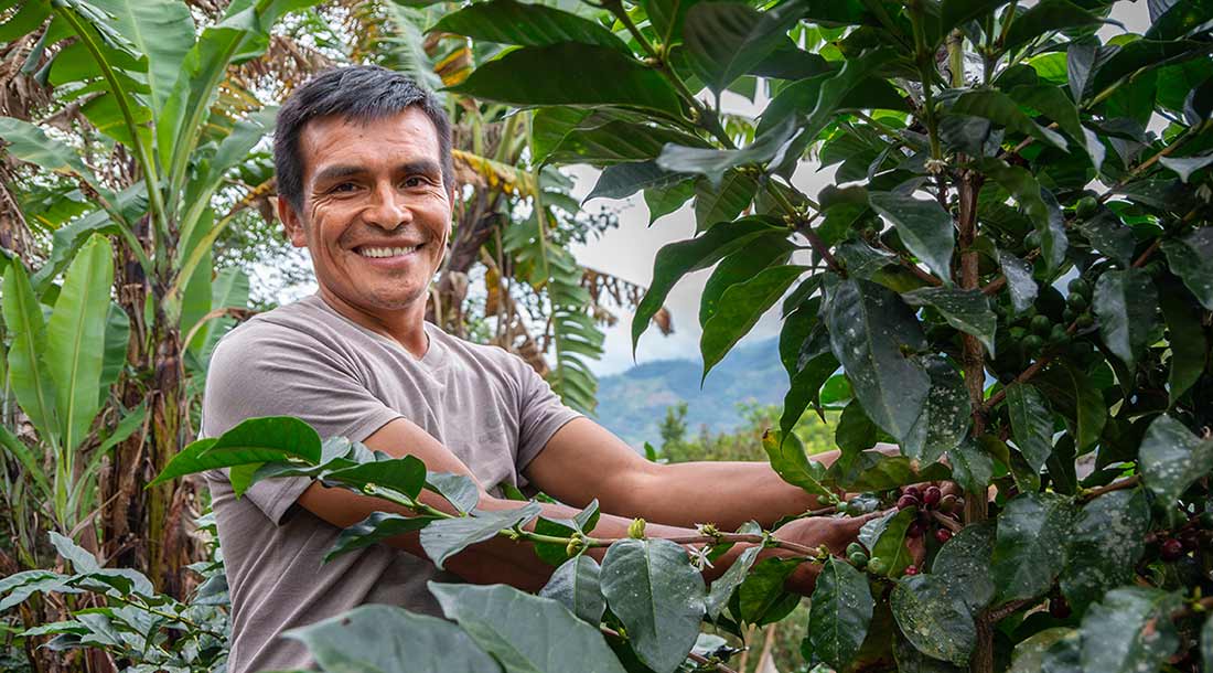 Producteur de la coopérative Selva Andina