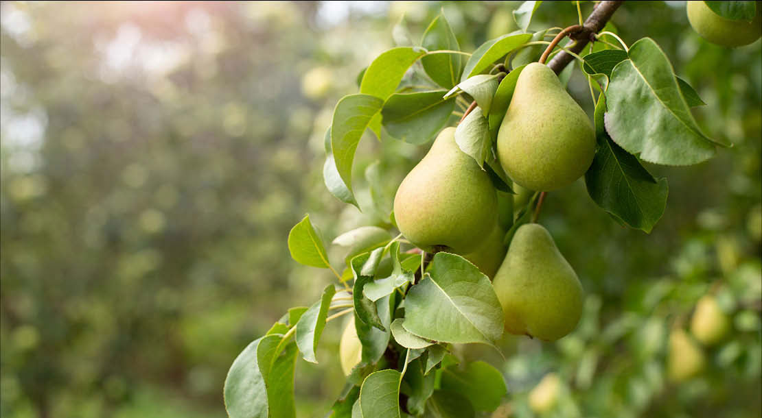 Fondaction co-investit dans le Groupe Courchesne Larose avec Sagard Placements Privés Canada