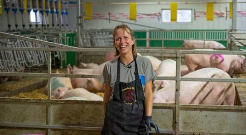 Photo de la ferme