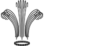 Logo NCIA