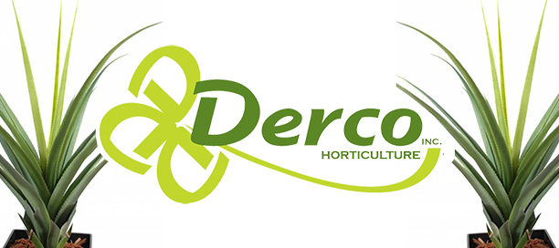 Fondaction investit cinq cent mille dollars auprès de Derco afin d’en favoriser la croissance